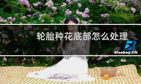 轮胎种花底部怎么处理 - 轮胎怎么种花不漏土