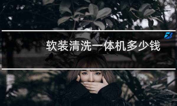 软装清洗一体机多少钱 - 软装清洗一体机哪里有卖