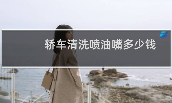 轿车清洗喷油嘴多少钱 - 4s店清洗节气门喷油嘴多少钱