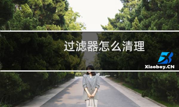 过滤器怎么清理 - waters在线过滤器脏了怎么洗