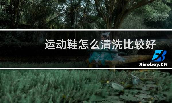 运动鞋怎么清洗比较好 - 正确的洗鞋方法