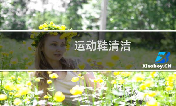 运动鞋清洁 - 如何清洗运动鞋内部