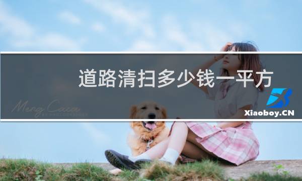 道路清扫多少钱一平方 - 二级道路保洁费每平方米