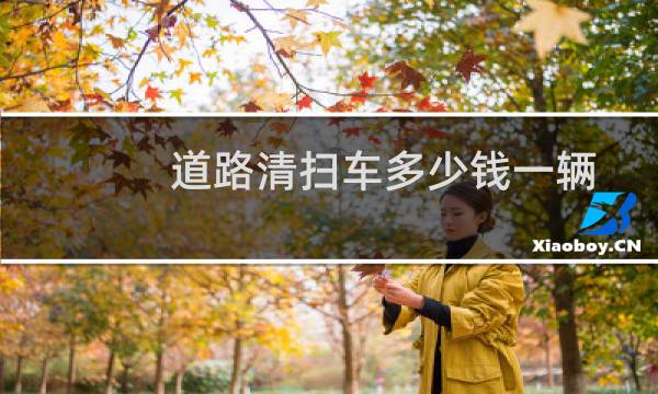 道路清扫车多少钱一辆 - 小型路面清扫车价格