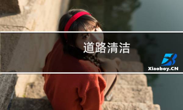 道路清洁 - 道路清洁预案