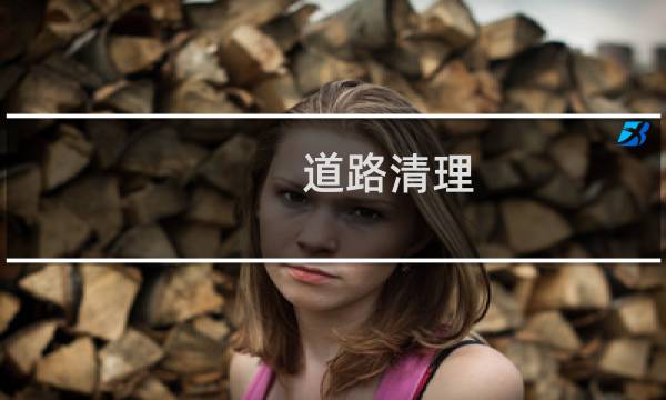 道路清理 - 道路清洁扫