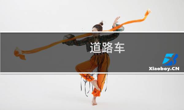 道路车 - 道路上车