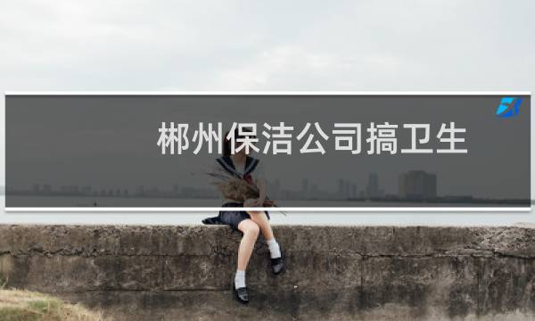 郴州保洁公司搞卫生 - 郴州家政保洁公司有哪些