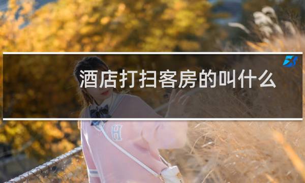 酒店打扫客房的叫什么 - 酒店打扫卫生名称