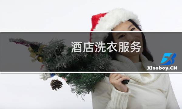 酒店洗衣服务 - 酒店洗衣服务价目表