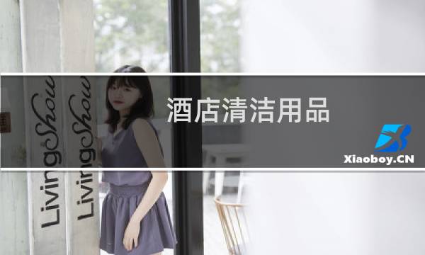 酒店清洁用品 - 酒店清洁用品的分类及使用