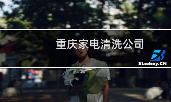 重庆家电清洗公司 - 重庆家电清洗价格表