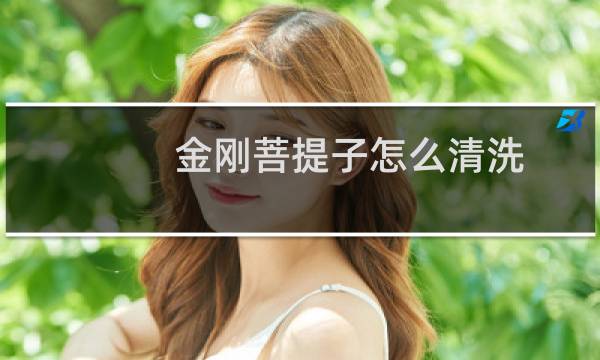 金刚菩提子怎么清洗 - 刚入手的金刚菩提子怎么清理