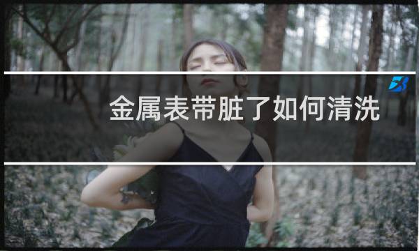 金属表带脏了如何清洗 - 金属手表带怎么清洗