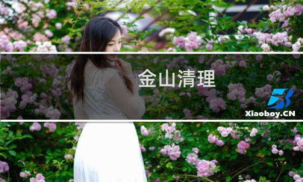 金山清理 - 金山清理大师手机版
