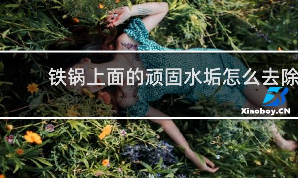 铁锅上面的顽固水垢怎么去除 - 农村大铁锅里的水垢怎么清除