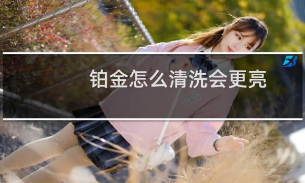 铂金怎么清洗会更亮 - 铂金如何清洗会亮