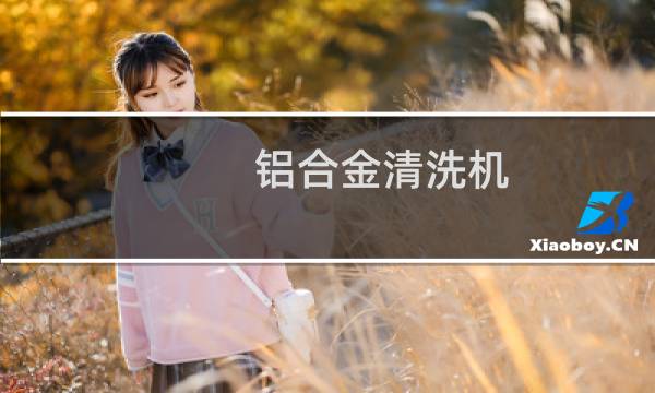 铝合金清洗机 - 铝合金洗口机
