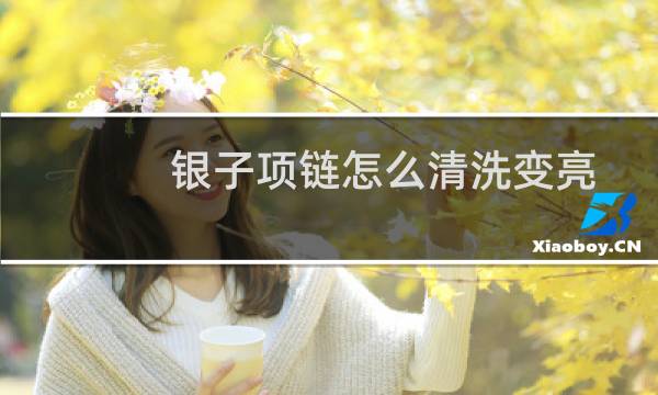 银子项链怎么清洗变亮 - 如何清洗银饰变亮