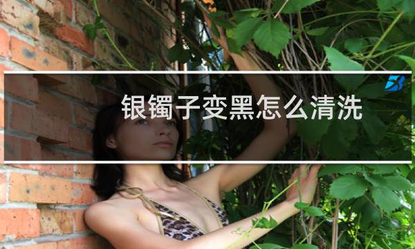 银镯子变黑怎么清洗 - 银手镯变黑怎么清洗干净