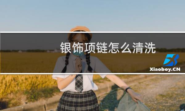 银饰项链怎么清洗 - 如何清洗纯银项链