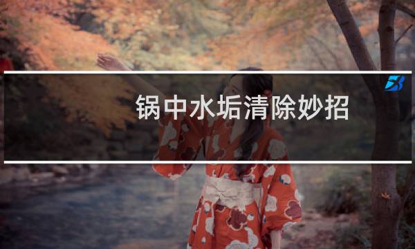 锅中水垢清除妙招 - 蒸锅水垢太厚太硬怎么清除