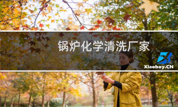 锅炉化学清洗厂家 - 从事锅炉清洗的单位