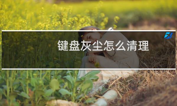 键盘灰尘怎么清理 - 键盘都是灰尘怎么办