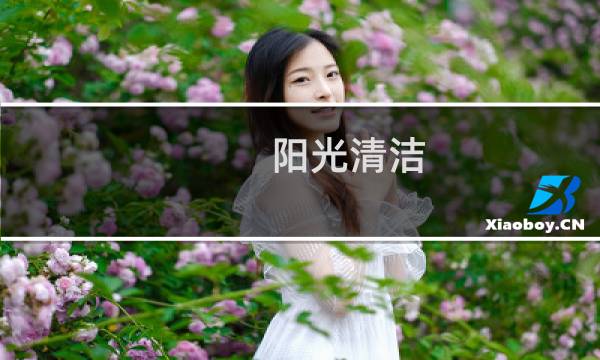 阳光清洁 - 阳光清洗 电影