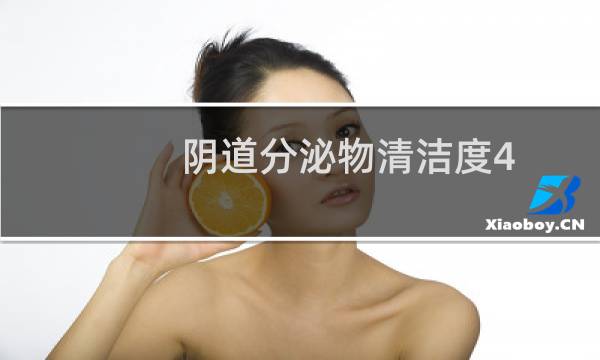 阴道分泌物清洁度4 - 白带清洁度四
