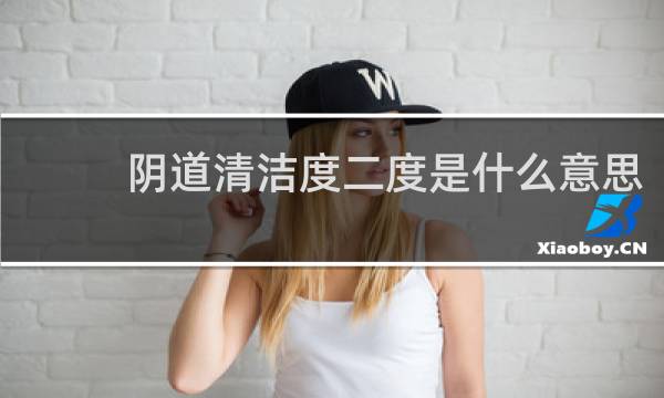 阴道清洁度二度是什么意思 - 清洁度二度但是外阴痒