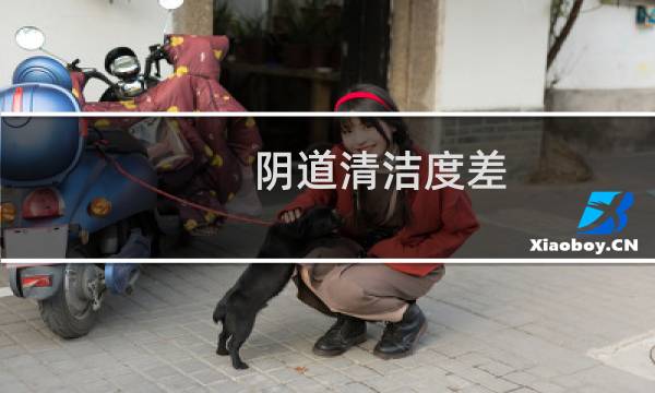 阴道清洁度差 - 白带清洁度3但无病菌