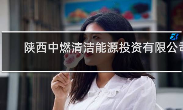 陕西中燃清洁能源投资有限公司 - 蒲城县环城燃气有限公司