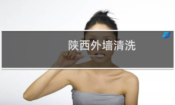 陕西外墙清洗 - 宁河区外墙清洗