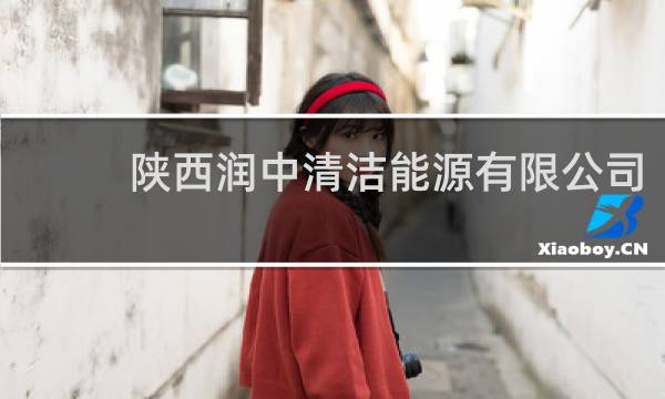陕西润中清洁能源有限公司 - 陕西润中清洁能源待遇