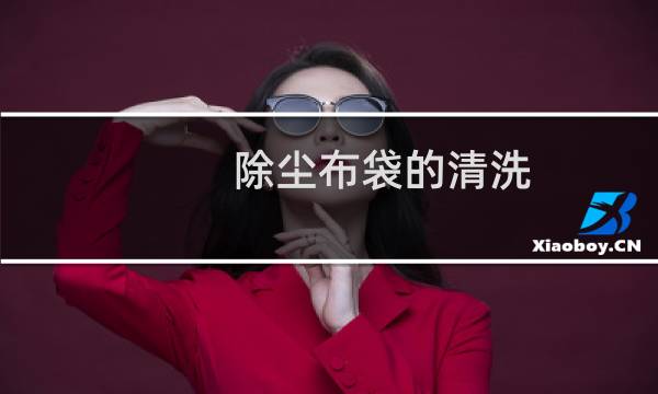 除尘布袋的清洗 -