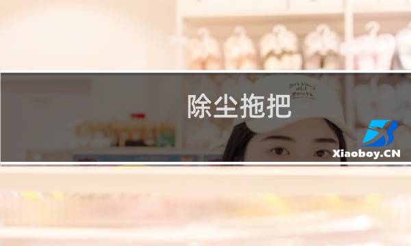 除尘拖把 - 懒人除尘拖把