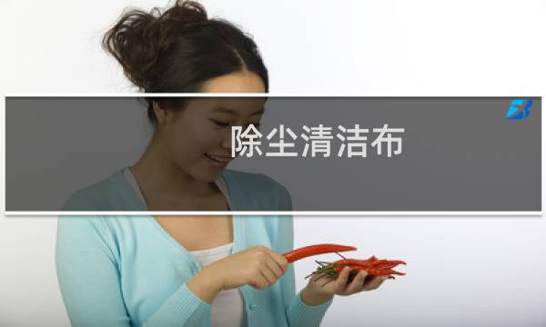 除尘清洁布 - 工业除尘器