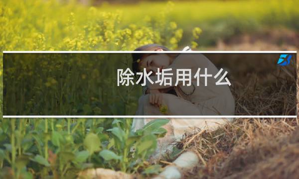 除水垢用什么 - 去除水垢用什么好