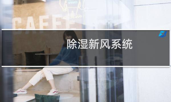 除湿新风系统 - 客厅装风管机后悔死了
