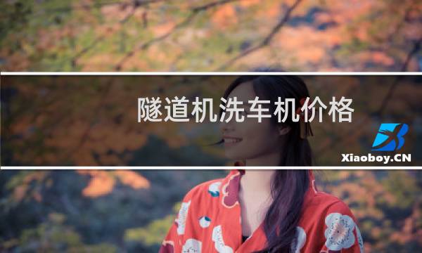 隧道机洗车机价格 -