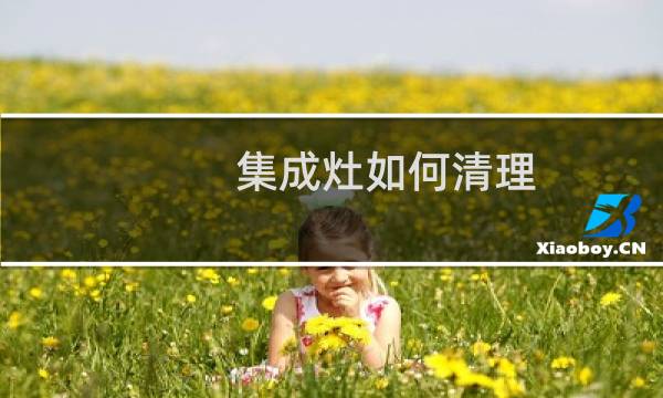 集成灶如何清理 - 集成灶自动清洗视频教程