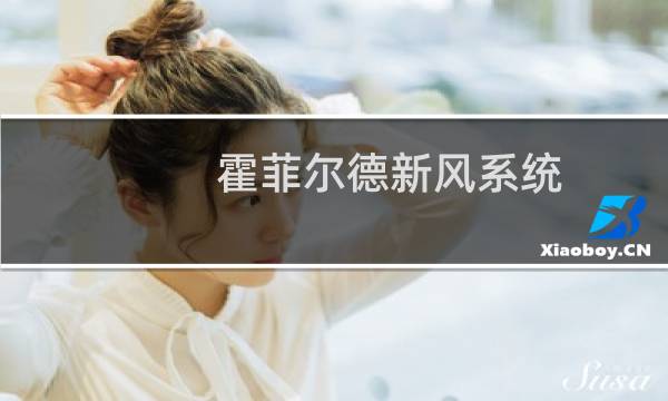 霍菲尔德新风系统 - 霍菲尔德新风怎么样