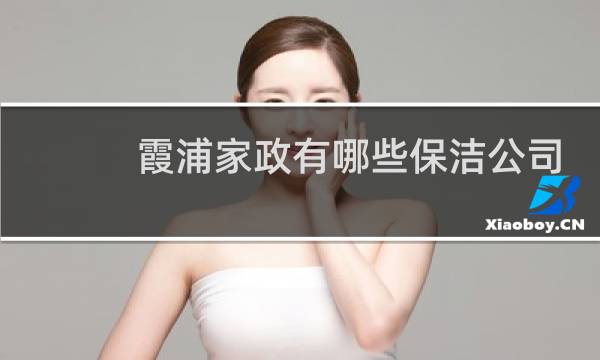 霞浦家政有哪些保洁公司 - 霞浦家政公司在哪里