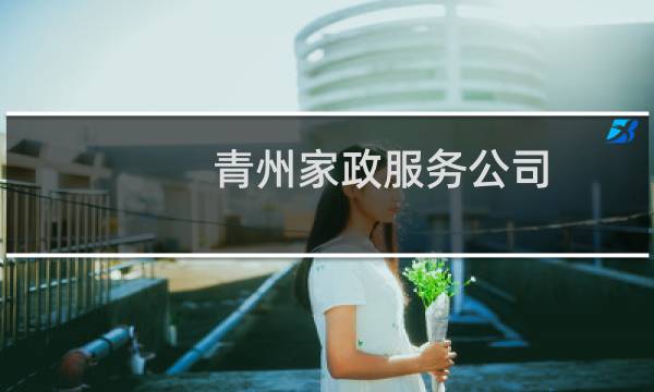 青州家政服务公司 - 青州家政保洁价格