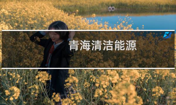 青海清洁能源 - 青海清洁能源上市公司