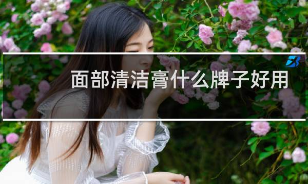 面部清洁膏什么牌子好用 - 哪款面部清洁膏比较好用