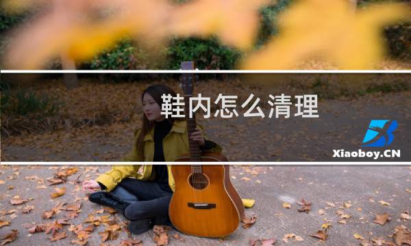 鞋内怎么清理 - 鞋子里面怎么清洗