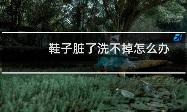 鞋子脏了洗不掉怎么办 - 鞋子污渍洗不掉怎么办