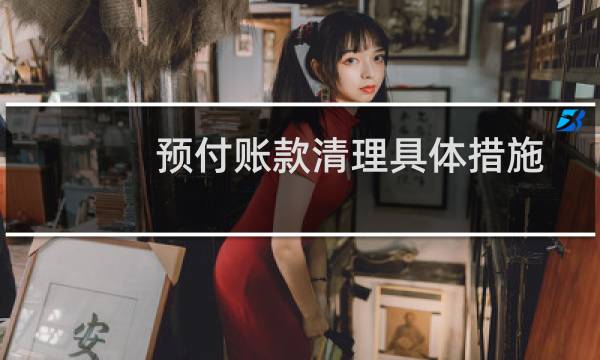 预付账款清理具体措施 - 预付账款清理说明